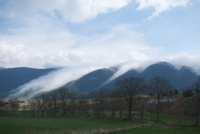 IMGP8419