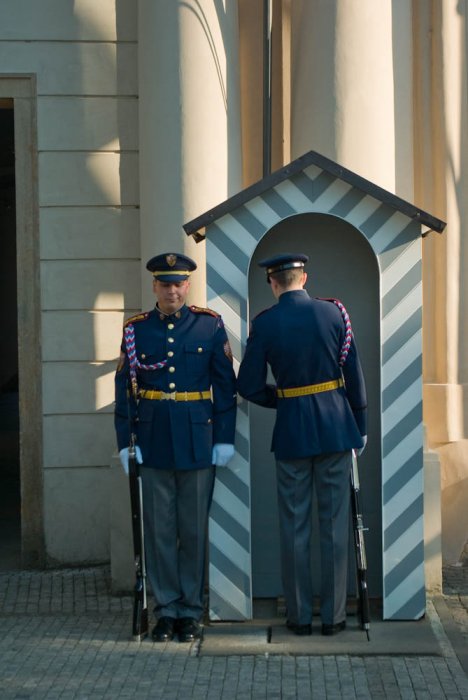 090503180014_IGP9131
