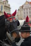 090505162434_IGP9411