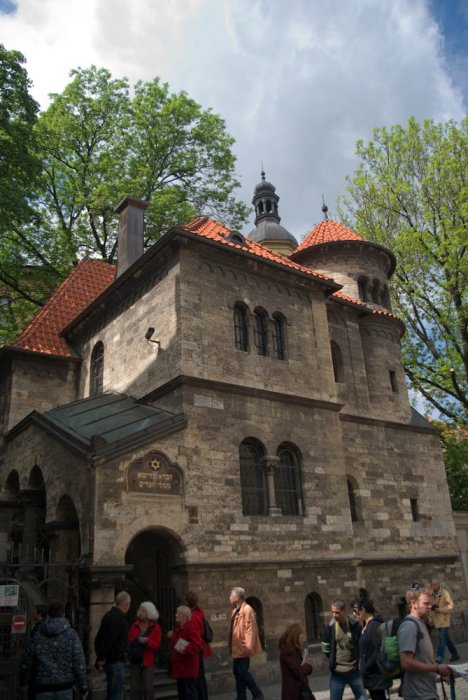 090507125529_IGP9857