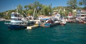 Rives du Bosphore