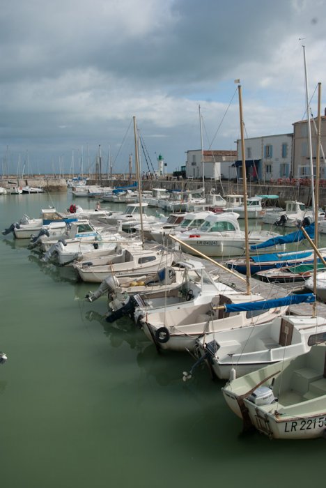 IMGP7558