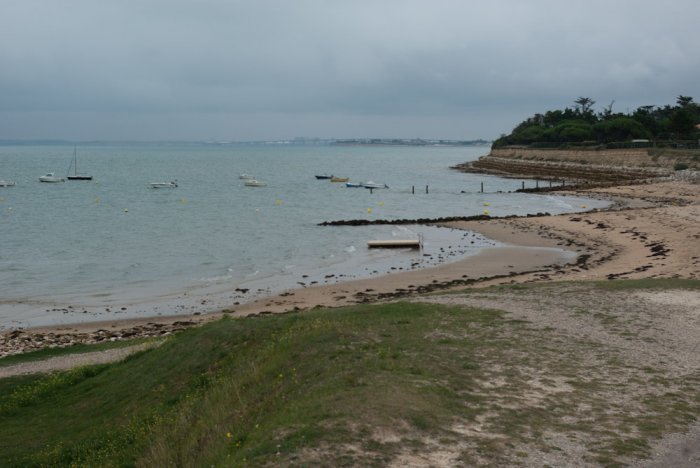 IMGP7689