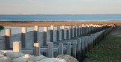 Ile de Ré - Septembre 2011